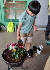 寄せ植え
