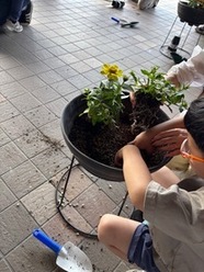 べにっこひろば
