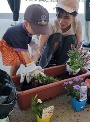 寄せ植え