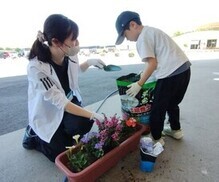 寄せ植え
