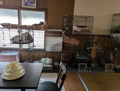 あーちゃんの家