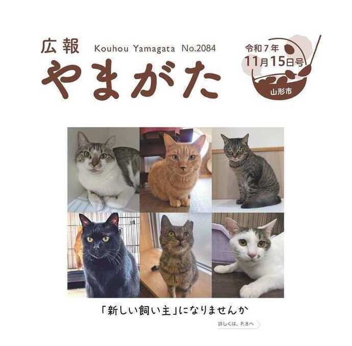 広報やまがた令和7年11月15日号表紙