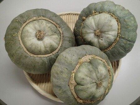 蔵王かぼちゃの写真