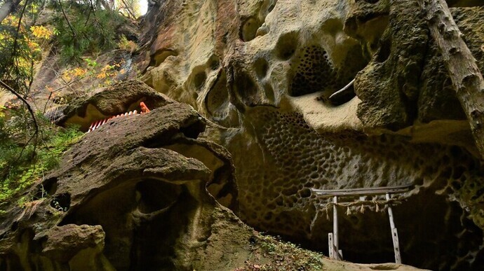 垂水遺跡の写真