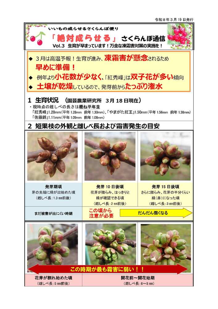 県いいもの成らせるさくらんぼだより