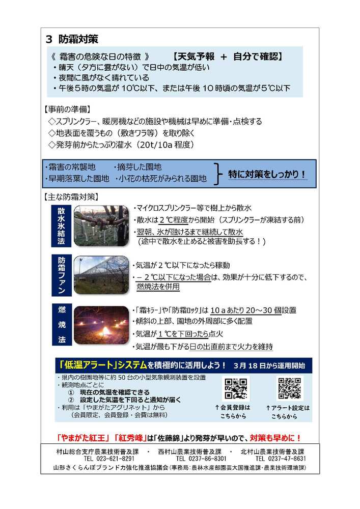 県いいもの成らせるさくらんぼだより2