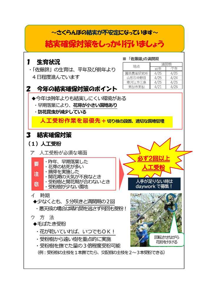 結実確保ちらし1