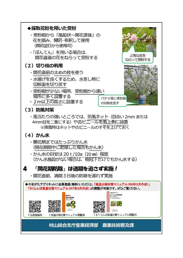 結実確保チラシ